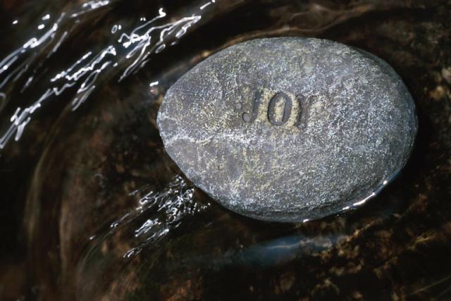 Joy stone